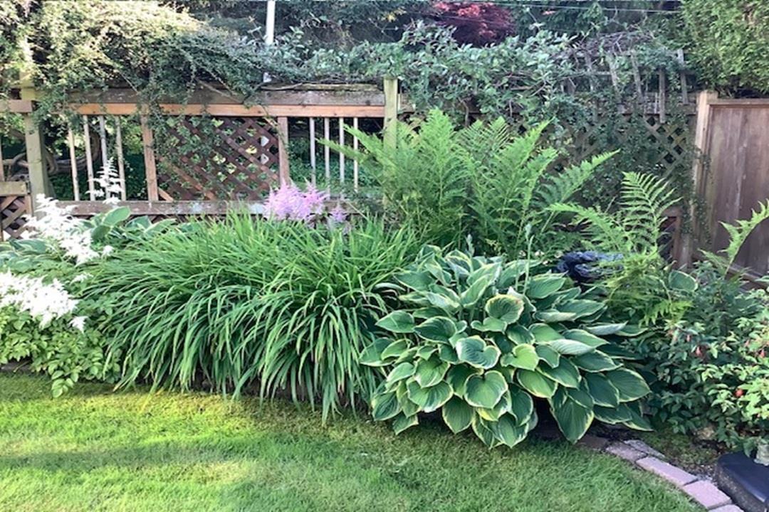 1711 126 Street, Surrey, British Columbia  V4A 9N6 - Photo 22 - R3070533