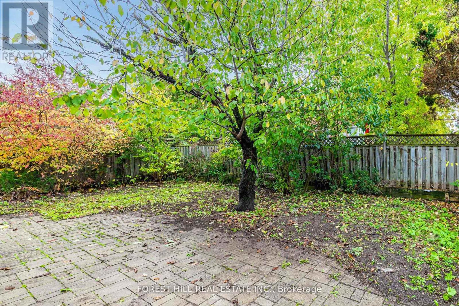 51 Briggs Avenue, Richmond Hill, Ontario  L4B 1N6 - Photo 29 - N12582638