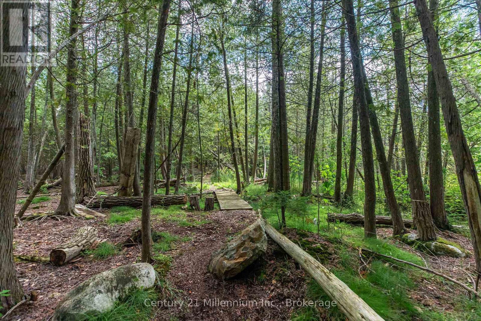 1025 West Road, Northern Bruce Peninsula, Ontario  N0H 1W0 - Photo 30 - X12582796