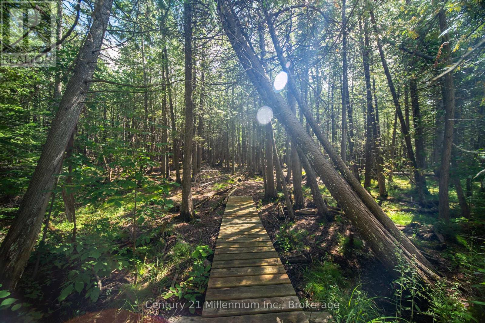 1025 West Road, Northern Bruce Peninsula, Ontario  N0H 1W0 - Photo 4 - X12582796