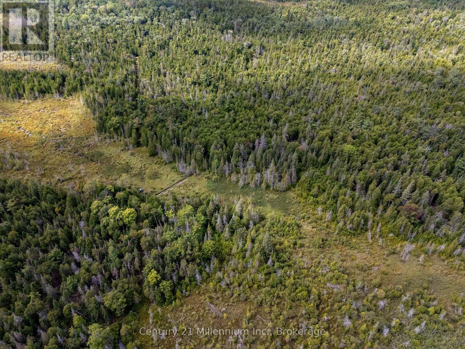 1025 West Road, Northern Bruce Peninsula, Ontario  N0H 1W0 - Photo 43 - X12582796