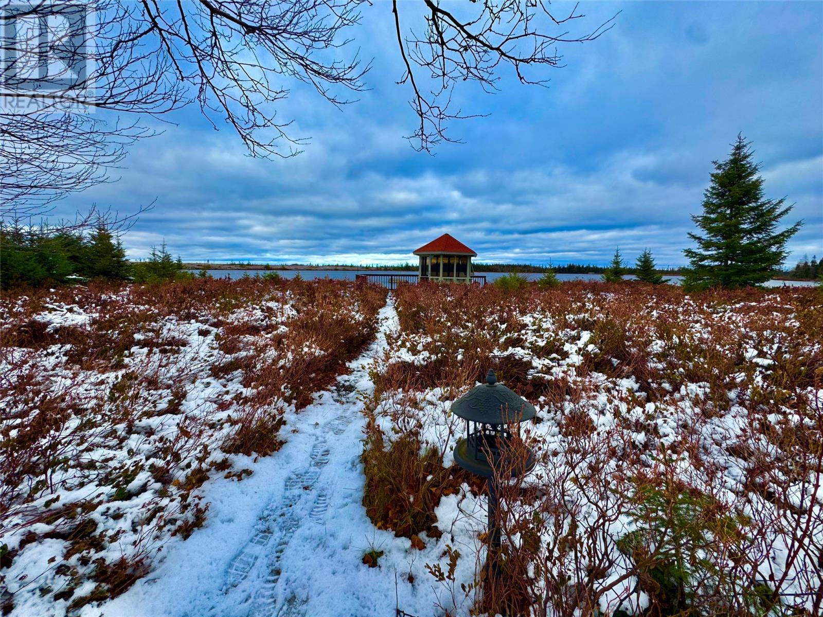 117 Ogilvie Street, Gander, Newfoundland & Labrador  A1V 1G6 - Photo 41 - 1292948