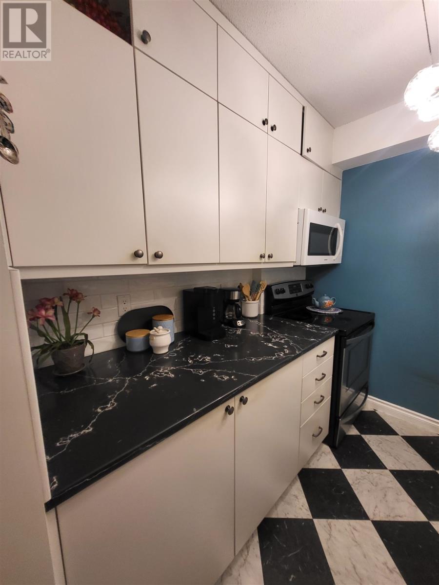 240 725 James St, Thunder Bay, Ontario  P7E 6N3 - Photo 5 - TB253517