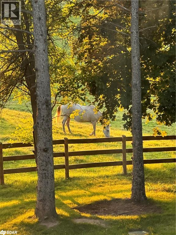 1067 Jerseyville Road W, Hamilton, Ontario L0R 1R0 - Photo 48 - 40790112