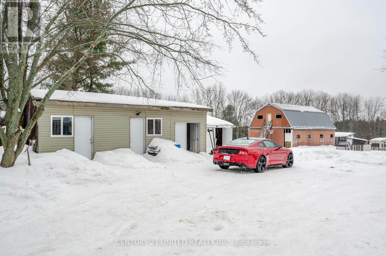 1677 Douro First Line, Douro-Dummer, Ontario  K0L 2H0 - Photo 14 - X12582248
