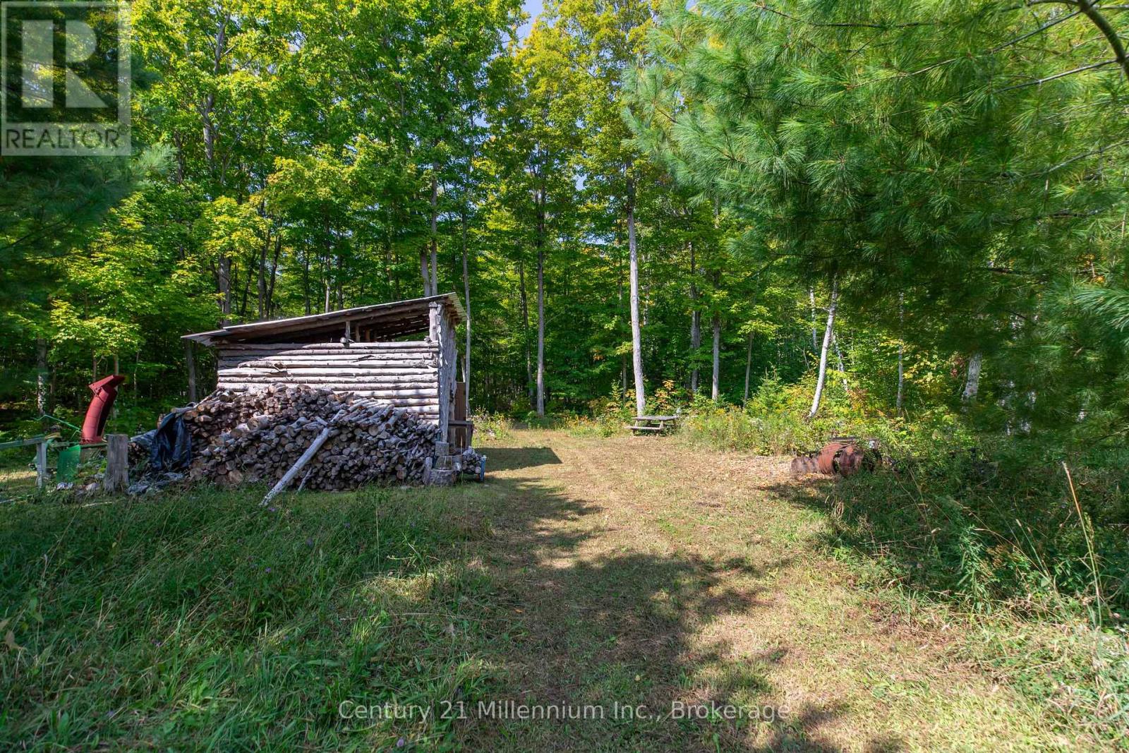 667 East Road, Northern Bruce Peninsula, Ontario  N0H 1W0 - Photo 14 - X12582922