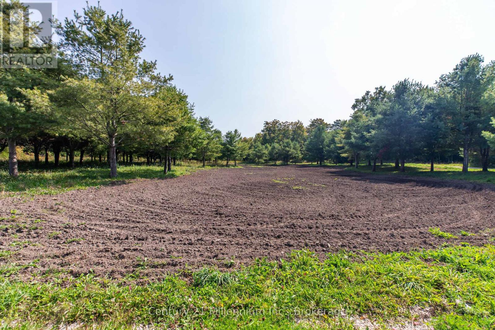 667 East Road, Northern Bruce Peninsula, Ontario  N0H 1W0 - Photo 21 - X12582922