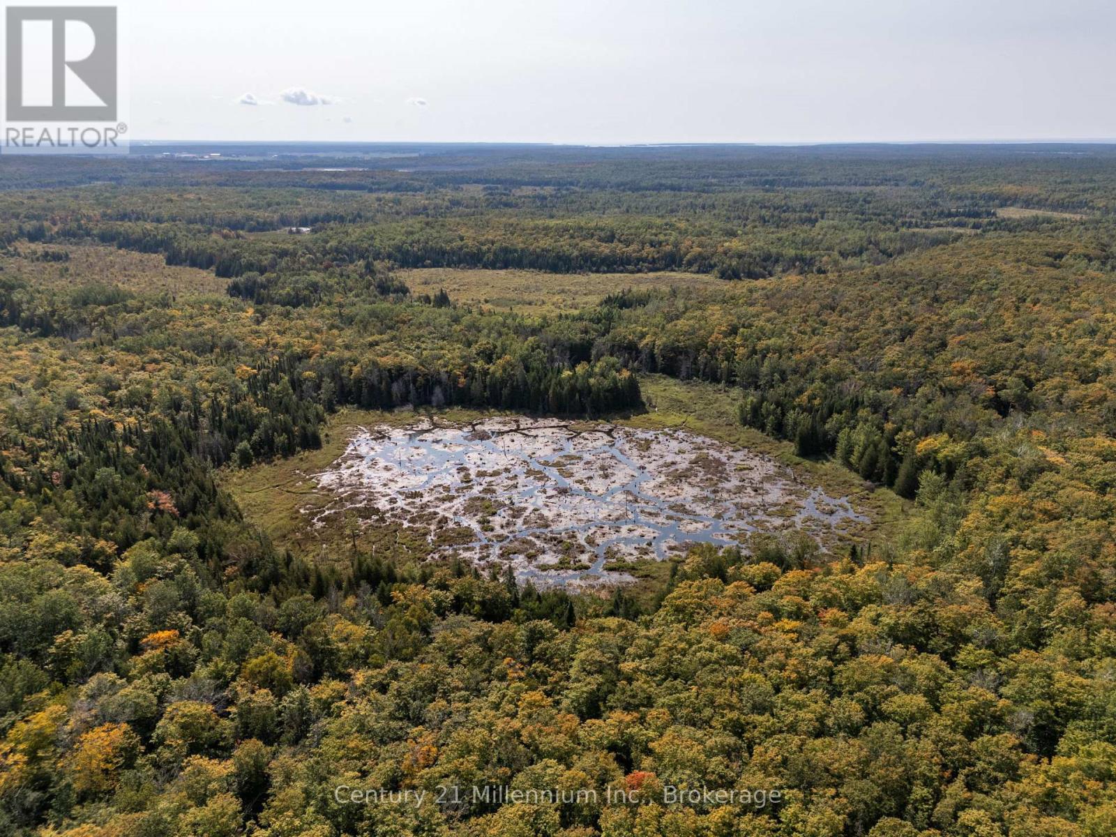 667 East Road, Northern Bruce Peninsula, Ontario  N0H 1W0 - Photo 28 - X12582922