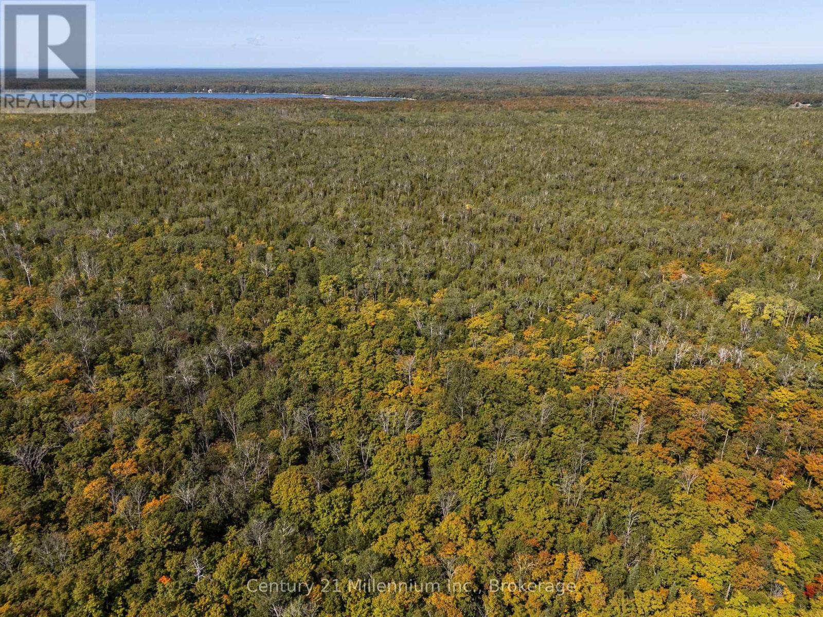 667 East Road, Northern Bruce Peninsula, Ontario  N0H 1W0 - Photo 30 - X12582922