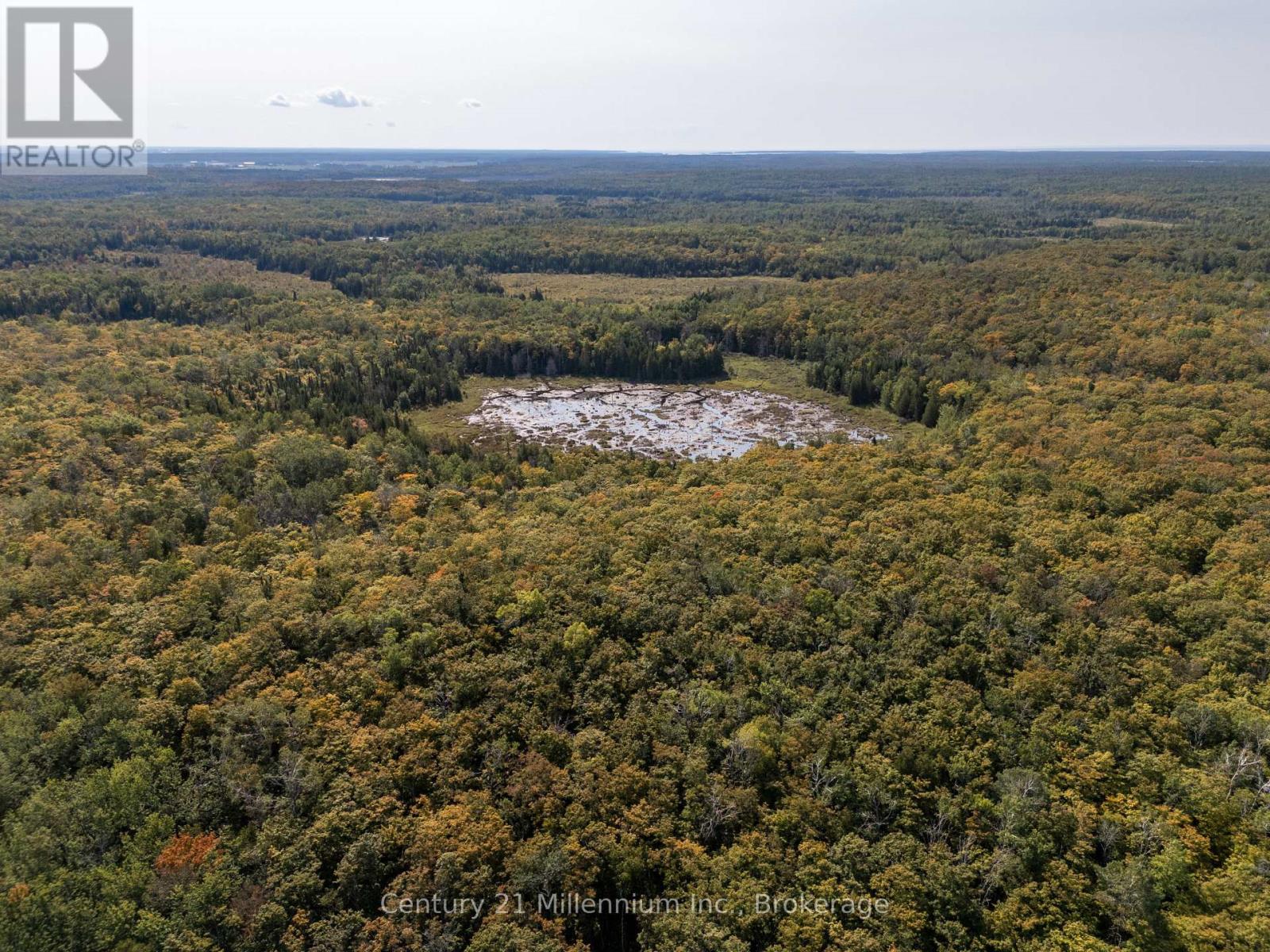 667 East Road, Northern Bruce Peninsula, Ontario  N0H 1W0 - Photo 40 - X12582922