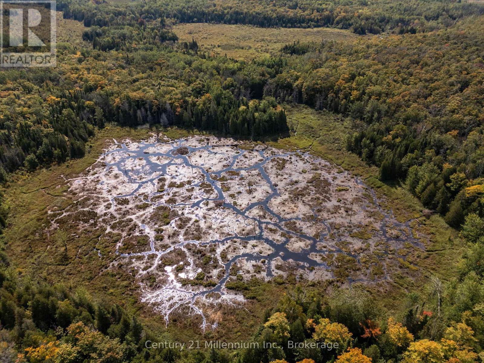 667 East Road, Northern Bruce Peninsula, Ontario  N0H 1W0 - Photo 50 - X12582922