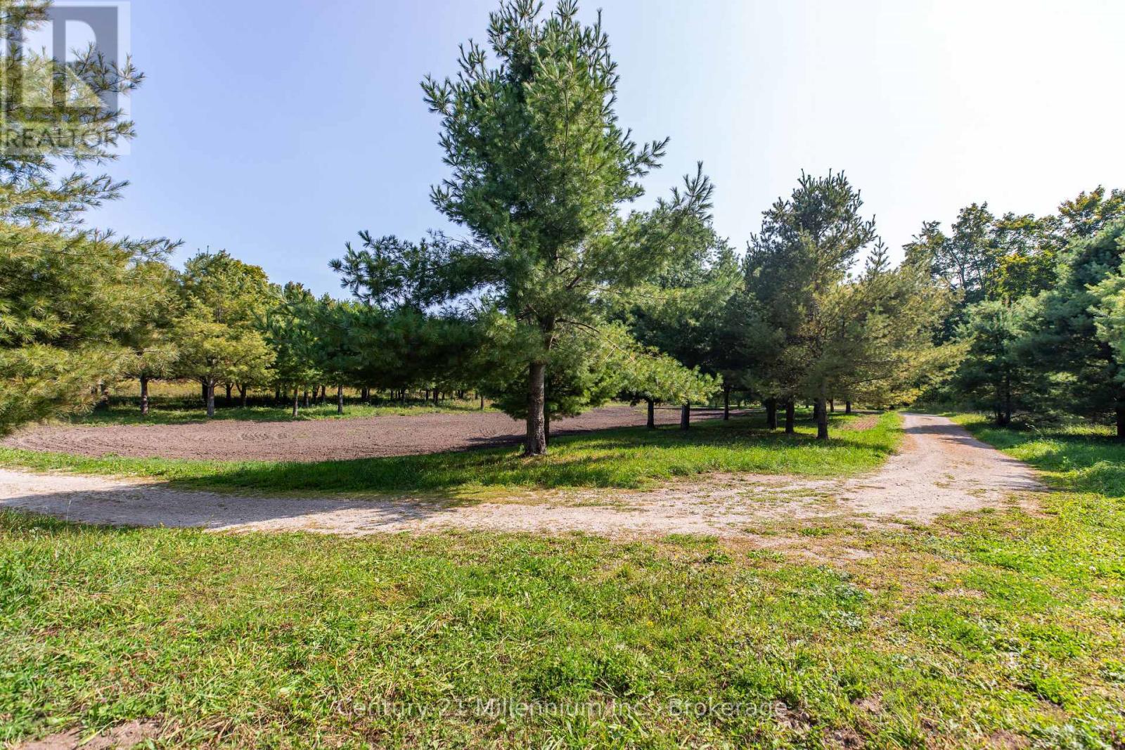 667 East Road, Northern Bruce Peninsula, Ontario  N0H 1W0 - Photo 6 - X12582922