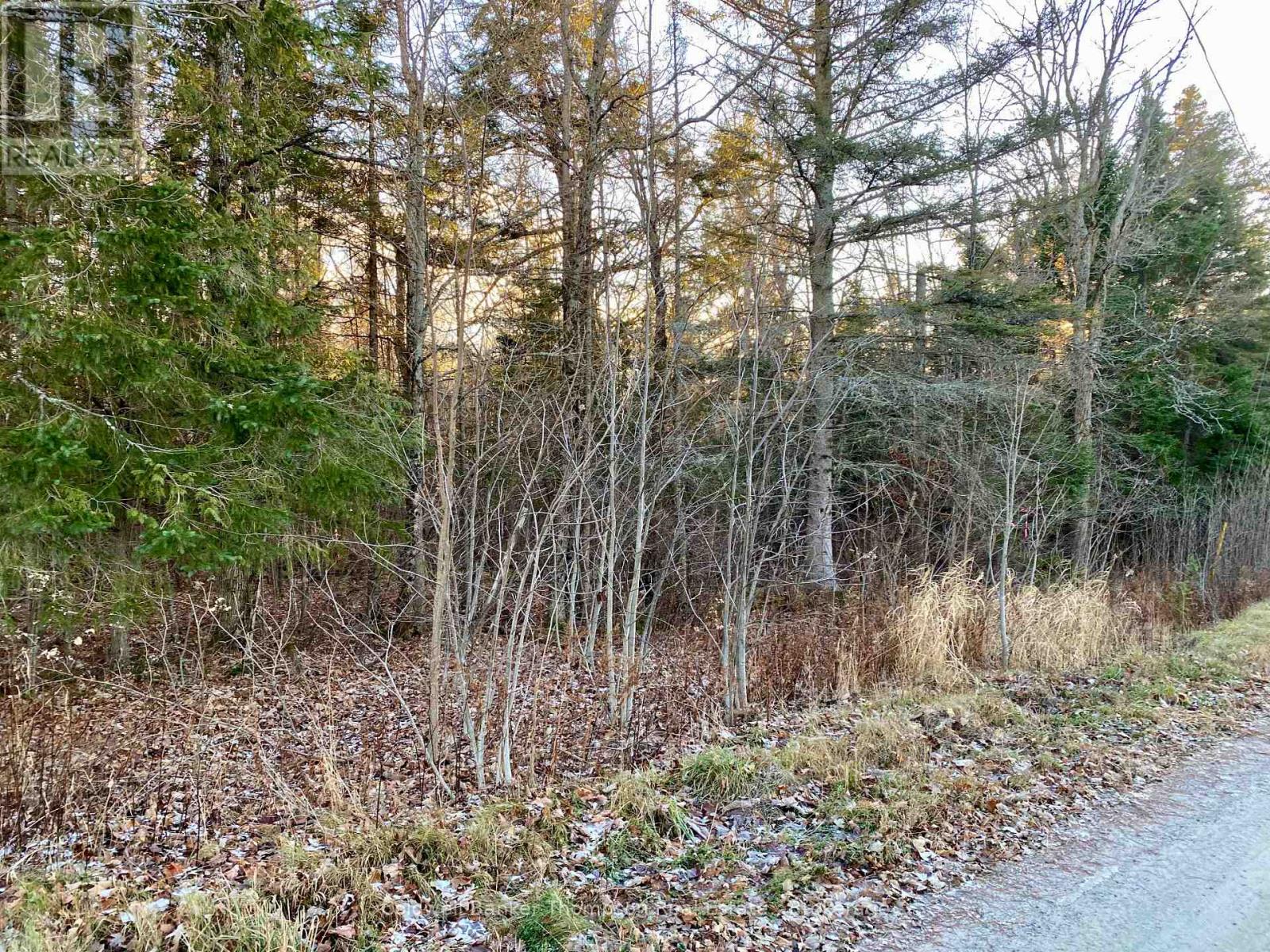 46 Spur Road E, Parry Sound Remote Area, Ontario  P0H 1S0 - Photo 3 - X12583018