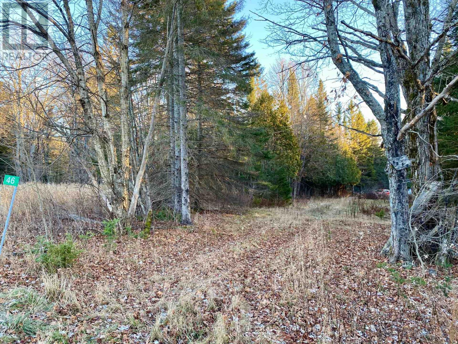 46 Spur Road E, Parry Sound Remote Area, Ontario  P0H 1S0 - Photo 4 - X12583018