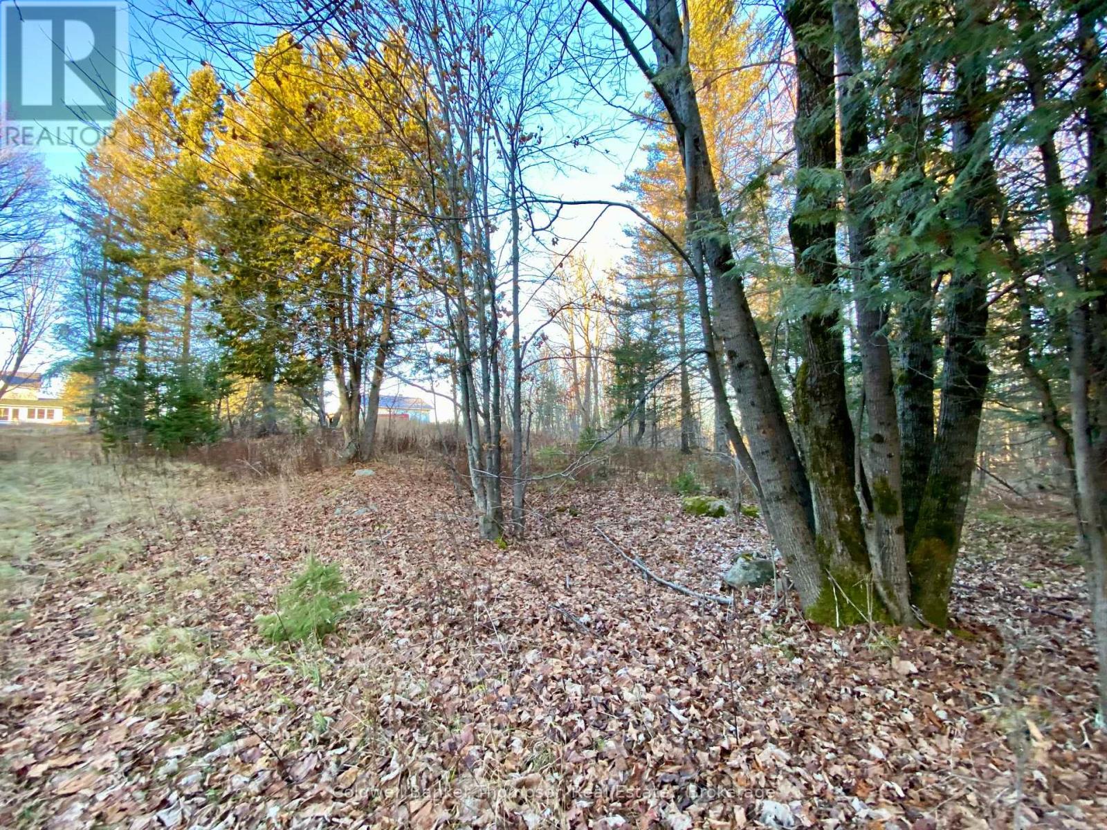 46 Spur Road E, Parry Sound Remote Area, Ontario  P0H 1S0 - Photo 5 - X12583018