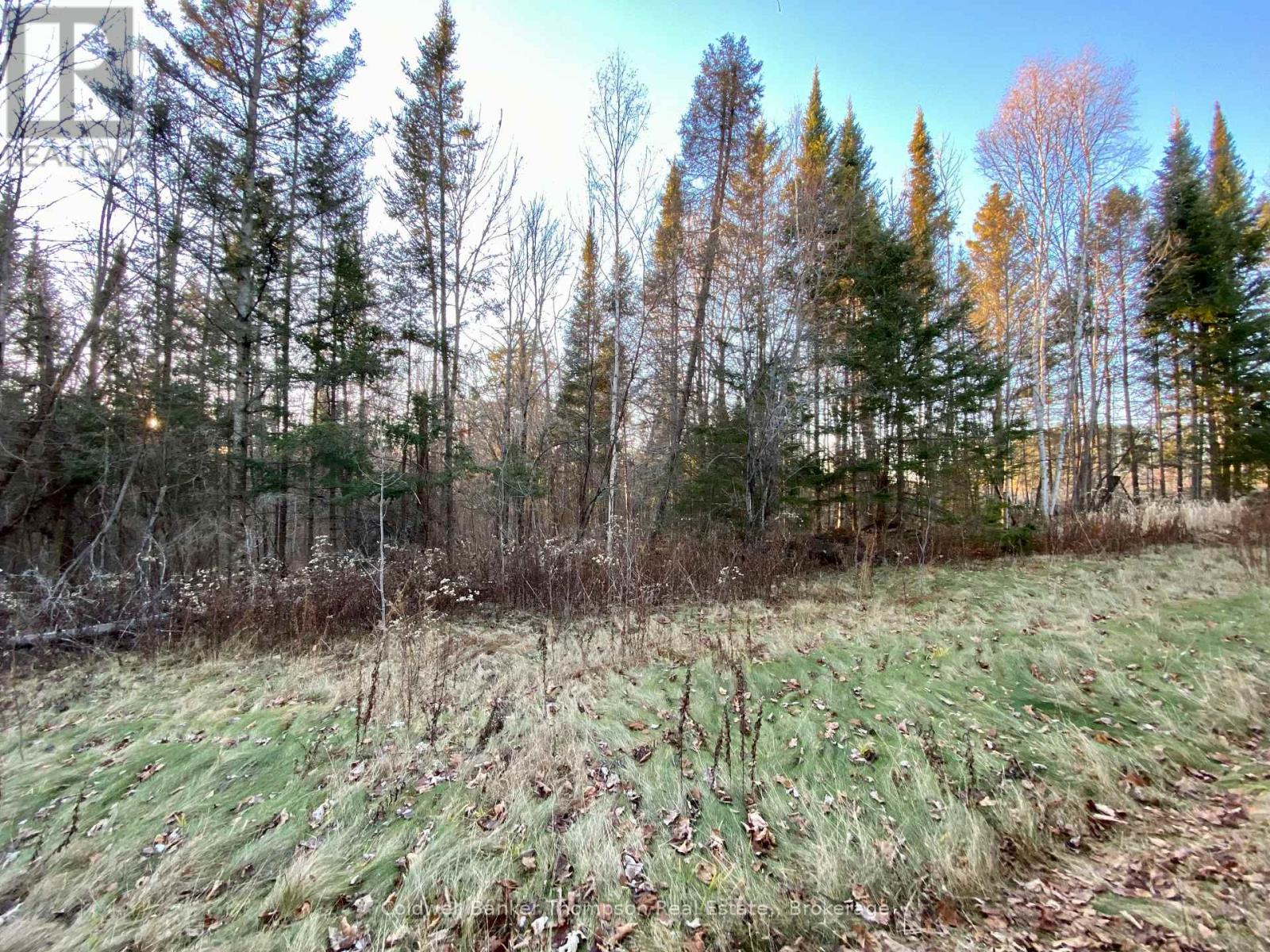 46 Spur Road E, Parry Sound Remote Area, Ontario  P0H 1S0 - Photo 6 - X12583018