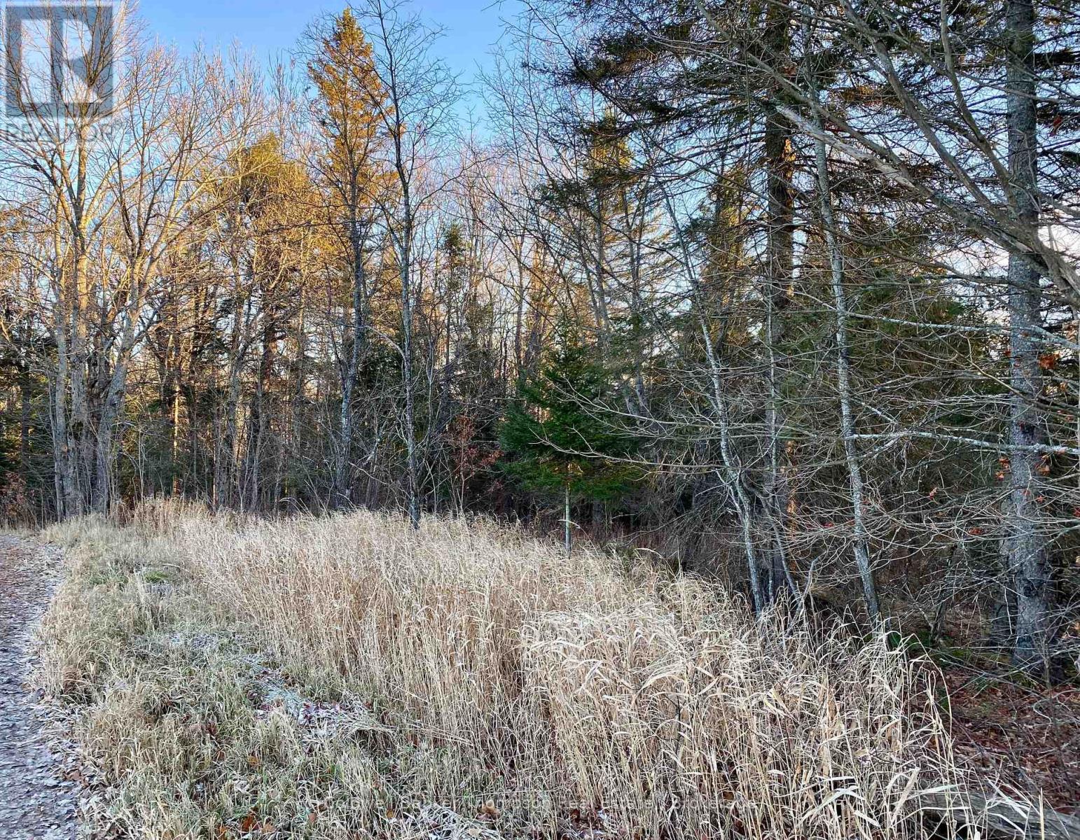 46 Spur Road E, Parry Sound Remote Area, Ontario  P0H 1S0 - Photo 7 - X12583018