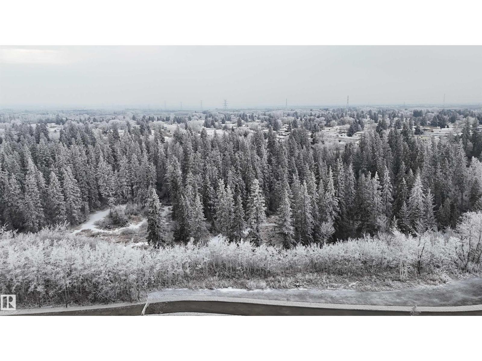 17115 3 St Nw, Edmonton, Alberta  T5Y 4G8 - Photo 6 - E4466728