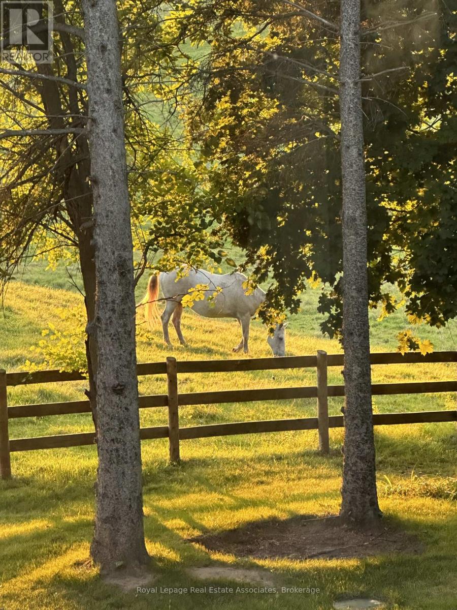 1067 Jerseyville Road W, Hamilton, Ontario  L0R 1R0 - Photo 48 - X12582942