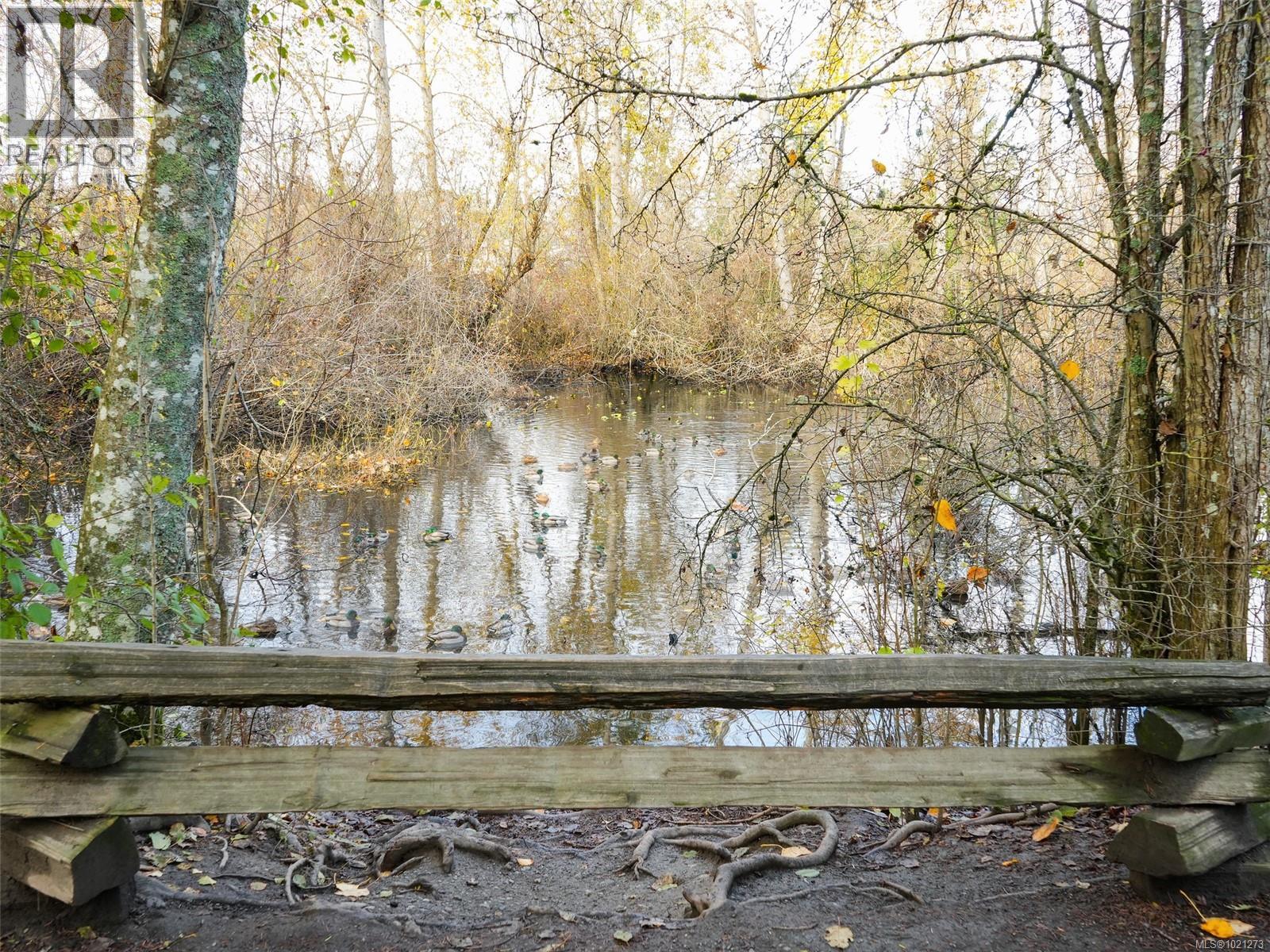 4179 Tuxedo Dr, Saanich, British Columbia V8X 4T1 - Photo 40 - 1021273