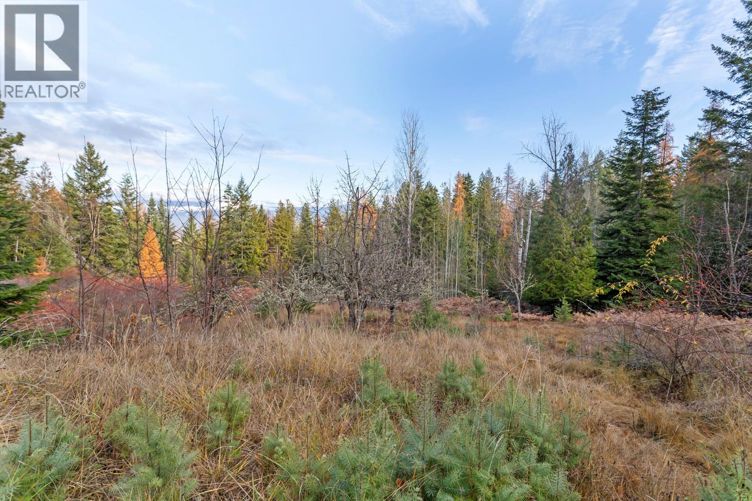 2008 Corn Creek Road, Creston, British Columbia  V0B 1G7 - Photo 17 - 10367538