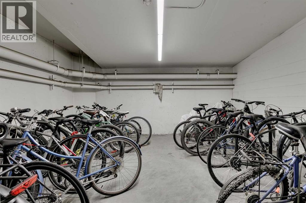 314, 305 18 Avenue Sw, Calgary, Alberta  T2S 3H1 - Photo 22 - A2253755