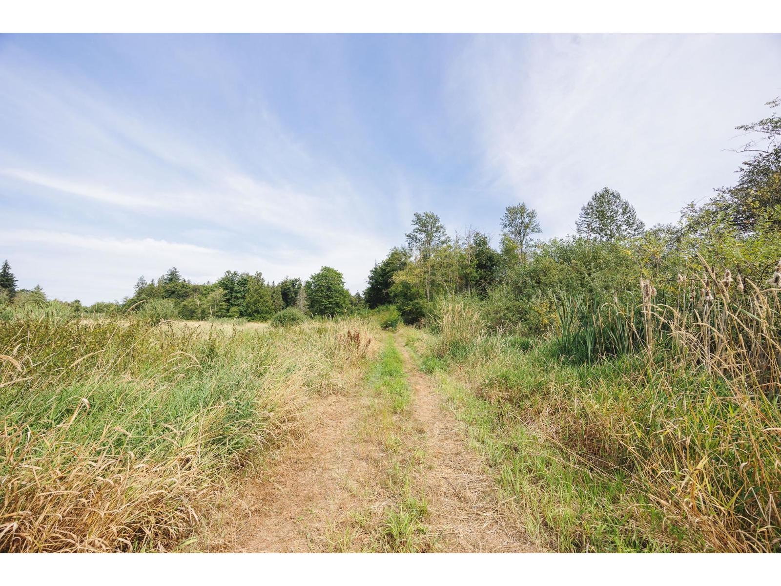 488 240 Street, Langley, British Columbia V2Z 2X6 - Photo 22 - R3024024