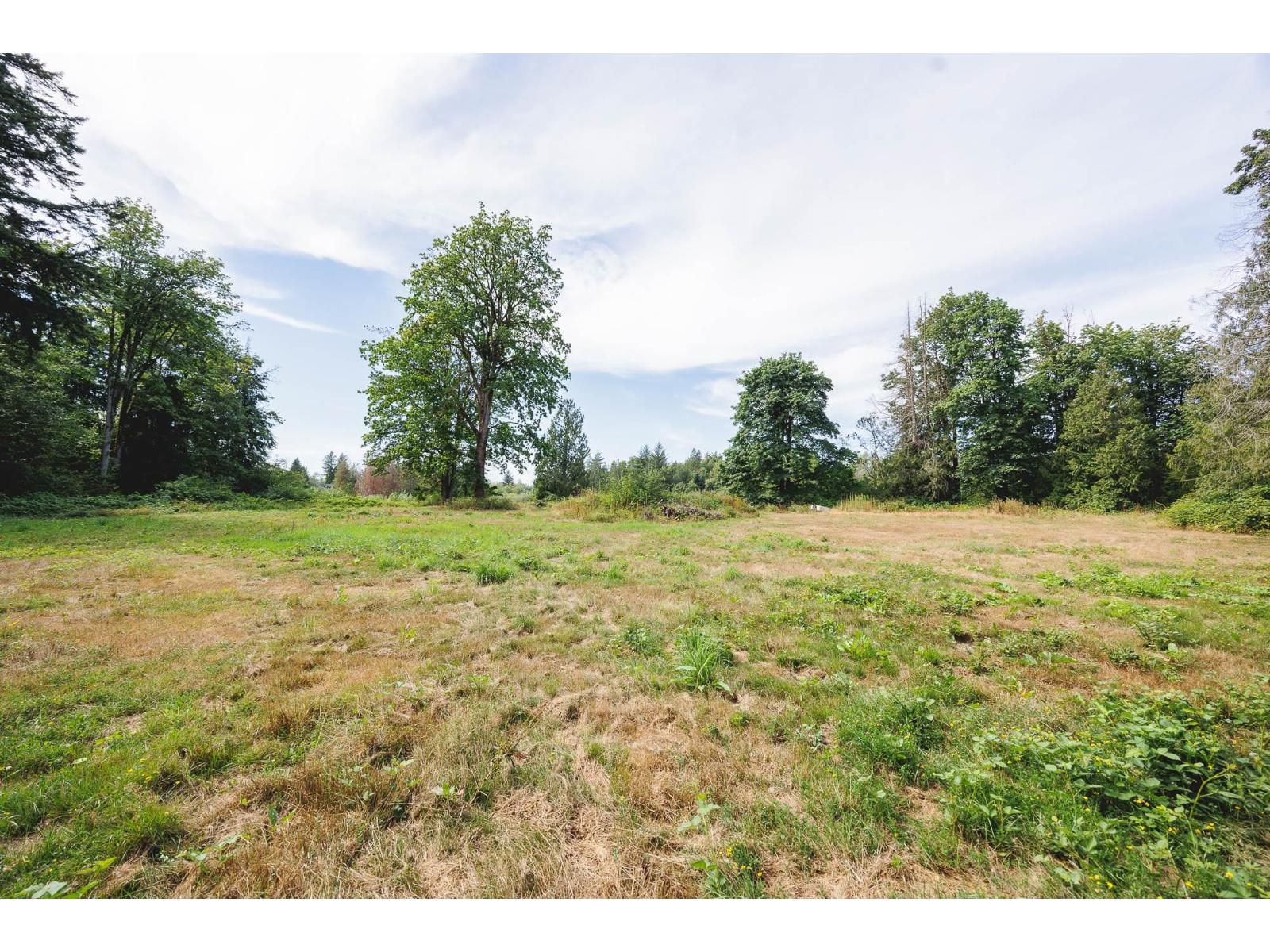 488 240 Street, Langley, British Columbia V2Z 2X6 - Photo 19 - R3024024