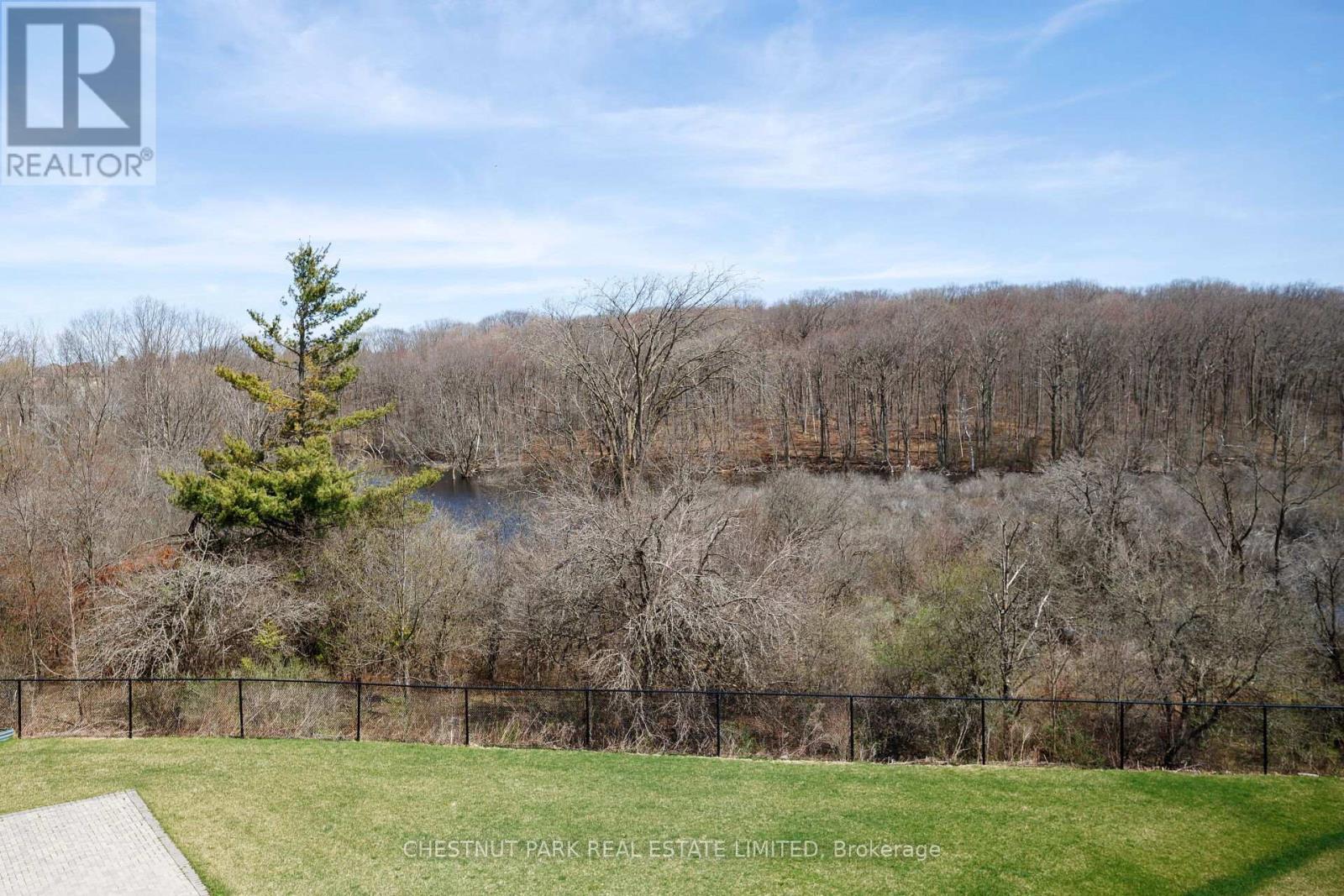 29 Limerick Street, Richmond Hill, Ontario  L4E 3W9 - Photo 30 - N12583168