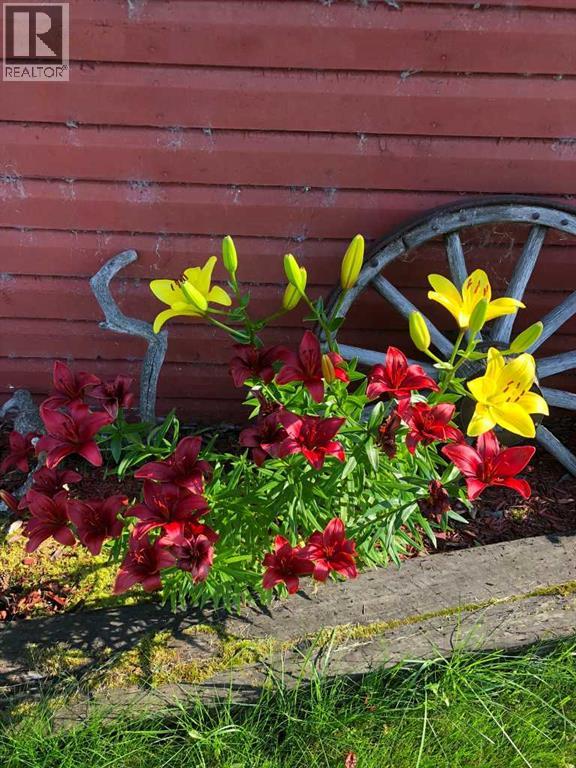 241023 Hwy 2, Rural Peace No. 135, Alberta  T0H 1W0 - Photo 48 - A2271421