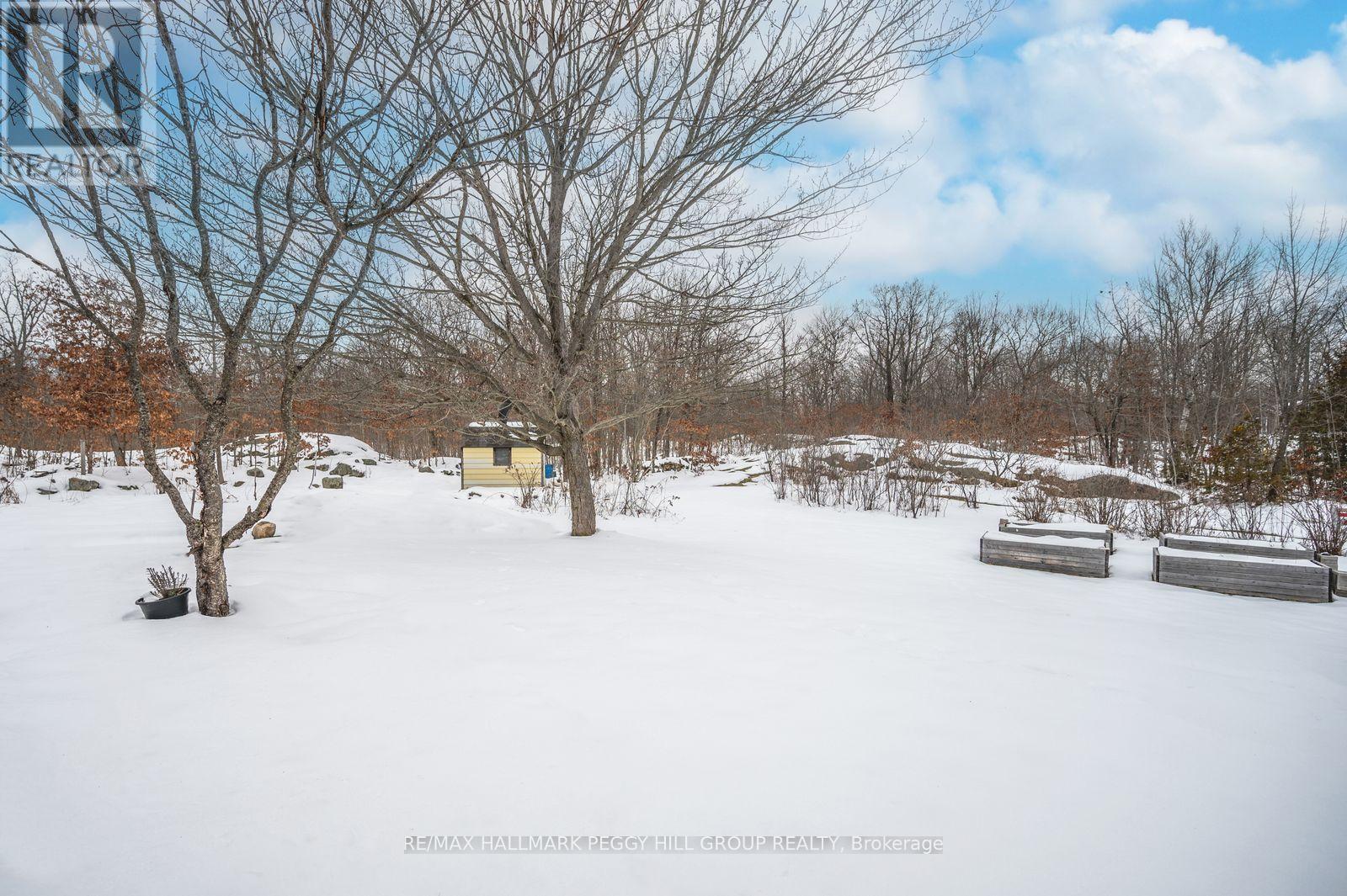 87 Corrievale Road, Georgian Bay (Baxter), Ontario  L0K 1S0 - Photo 15 - X12583396
