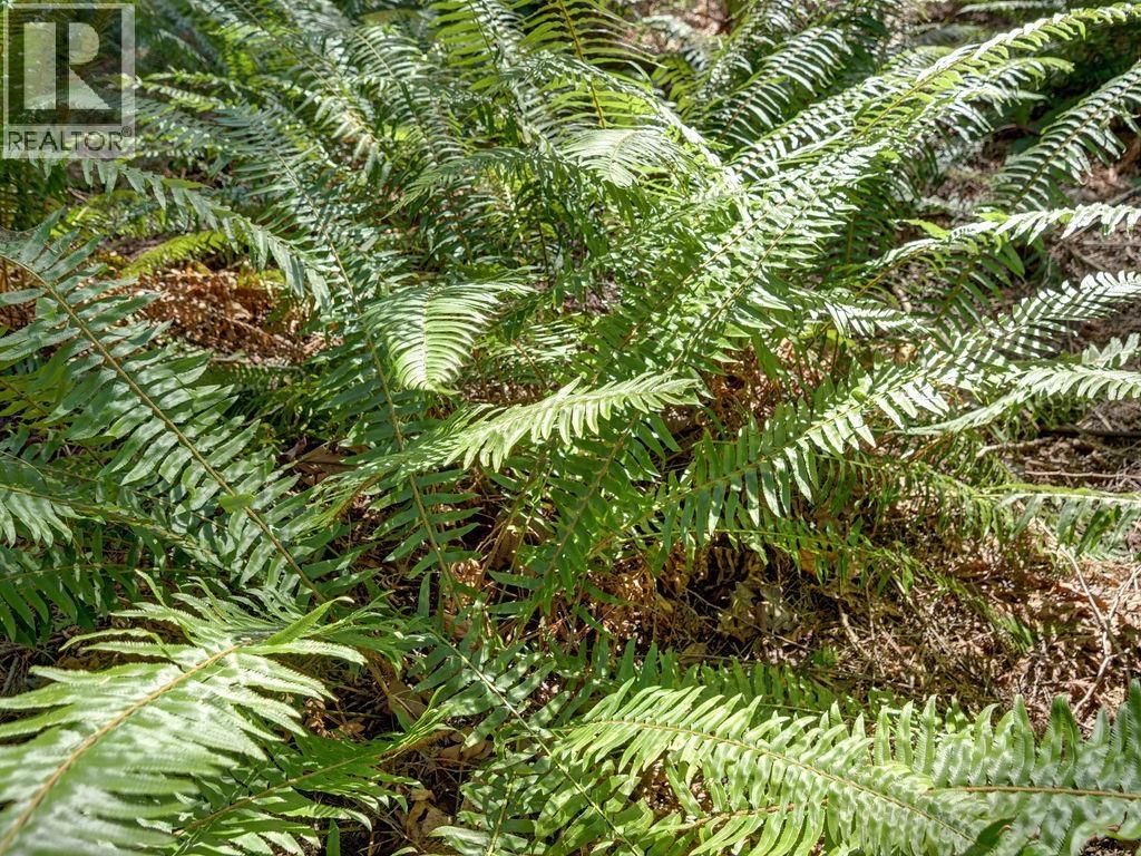 Lot 5 Gower Point Road, Gibsons, British Columbia  V0N 1V5 - Photo 12 - R3070713