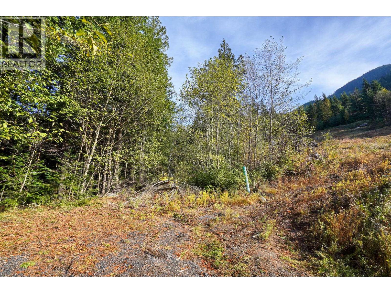 1125 Copper Drive, Britannia Beach, British Columbia  V8B 1J0 - Photo 5 - R3070718