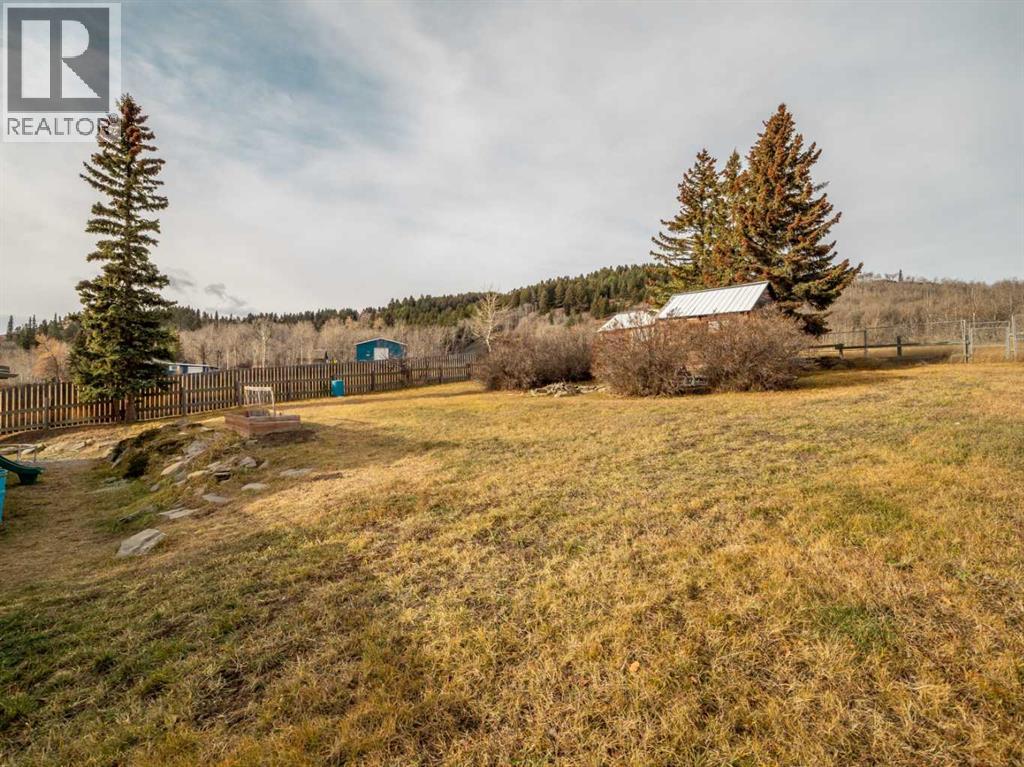 740 First Avenue, Beaver Mines, Alberta  T0K 1W0 - Photo 38 - A2270667