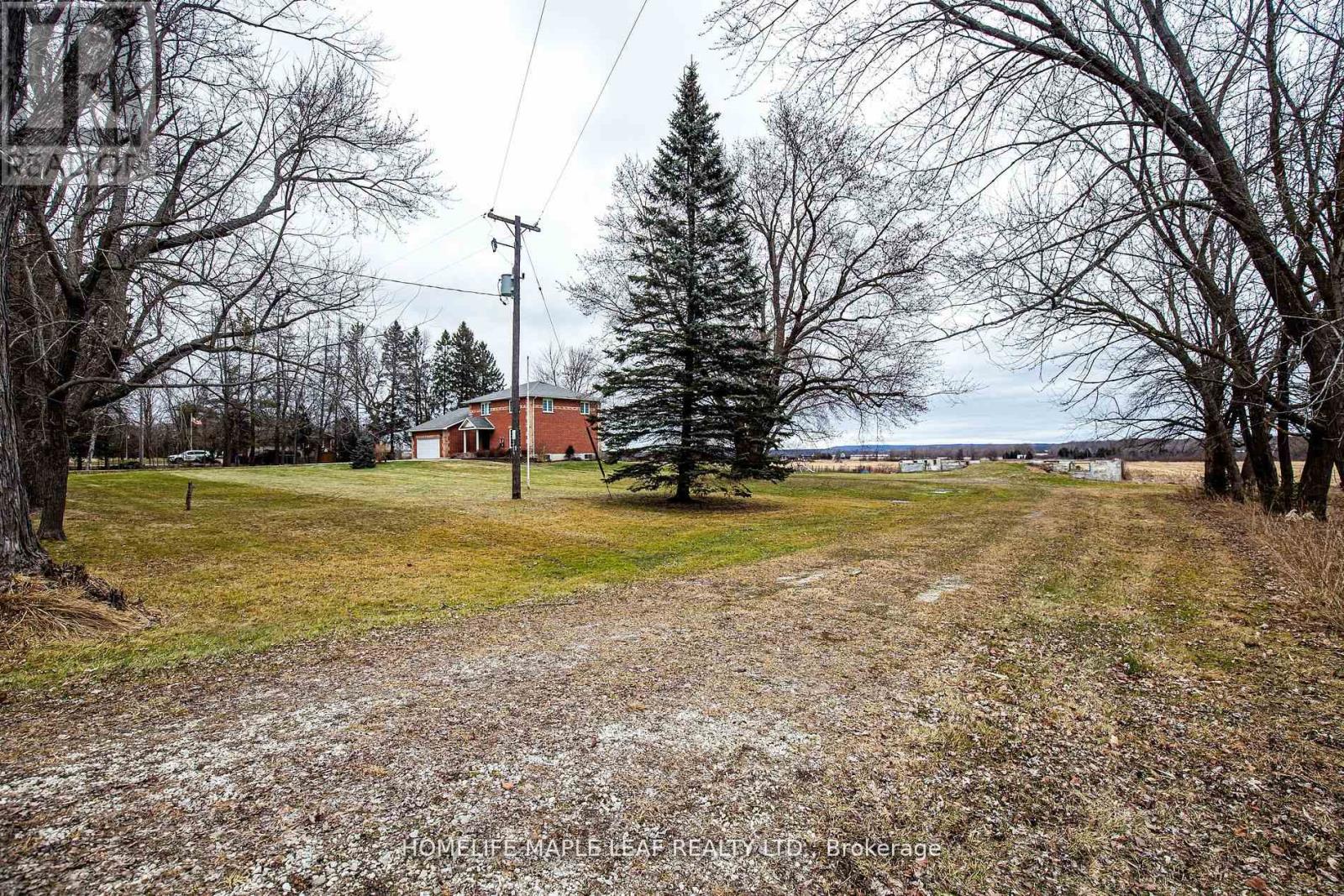 3501 Mccarthy Drive, Clearview, Ontario  L0M 1N0 - Photo 37 - S12533920