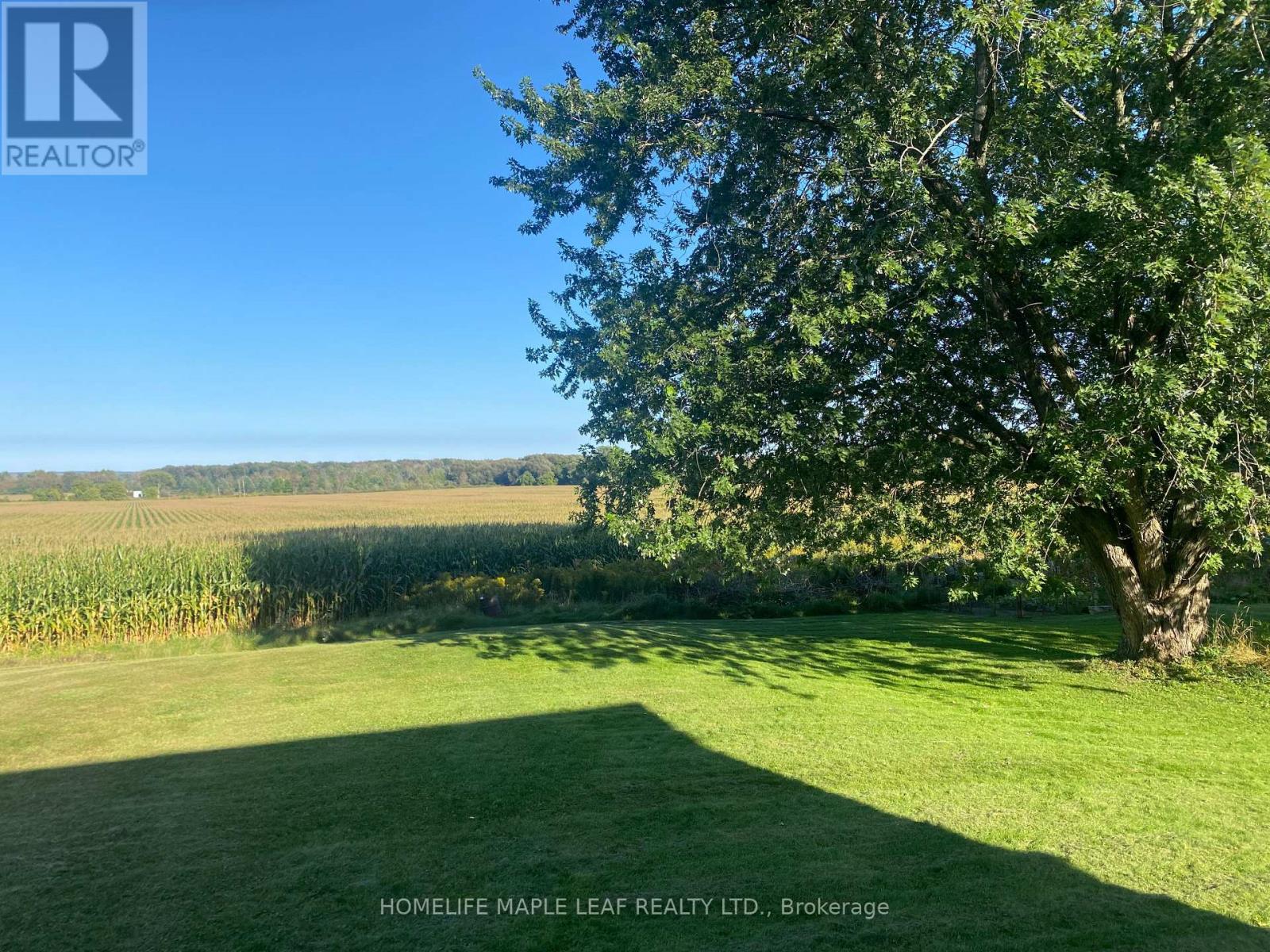 3501 Mccarthy Drive, Clearview, Ontario  L0M 1N0 - Photo 38 - S12533920