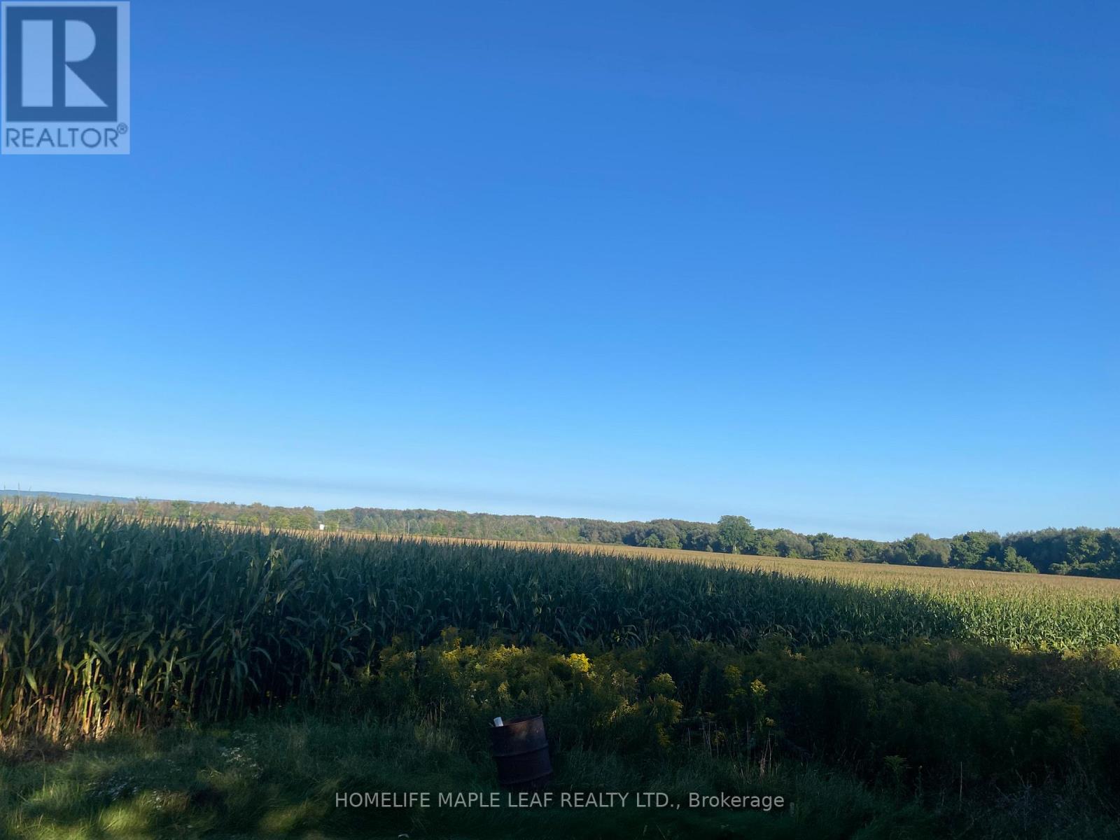 3501 Mccarthy Drive, Clearview, Ontario  L0M 1N0 - Photo 39 - S12533920