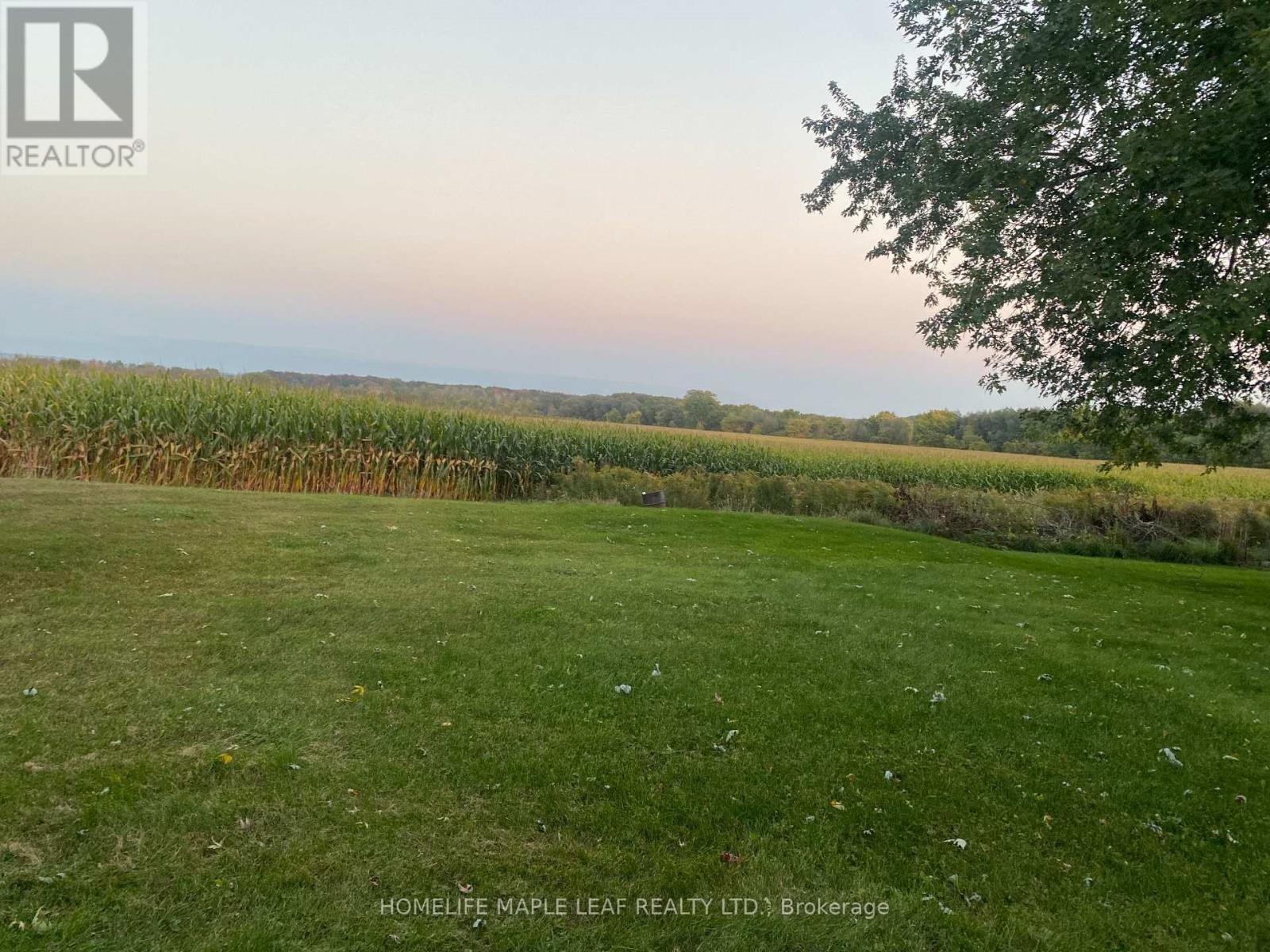 3501 Mccarthy Drive, Clearview, Ontario  L0M 1N0 - Photo 43 - S12533920