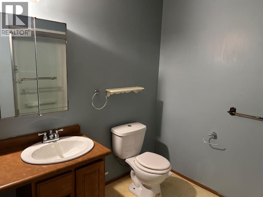 4544 46 Avenue, Rocky Mountain House, Alberta  T4T 1A2 - Photo 9 - A2249106