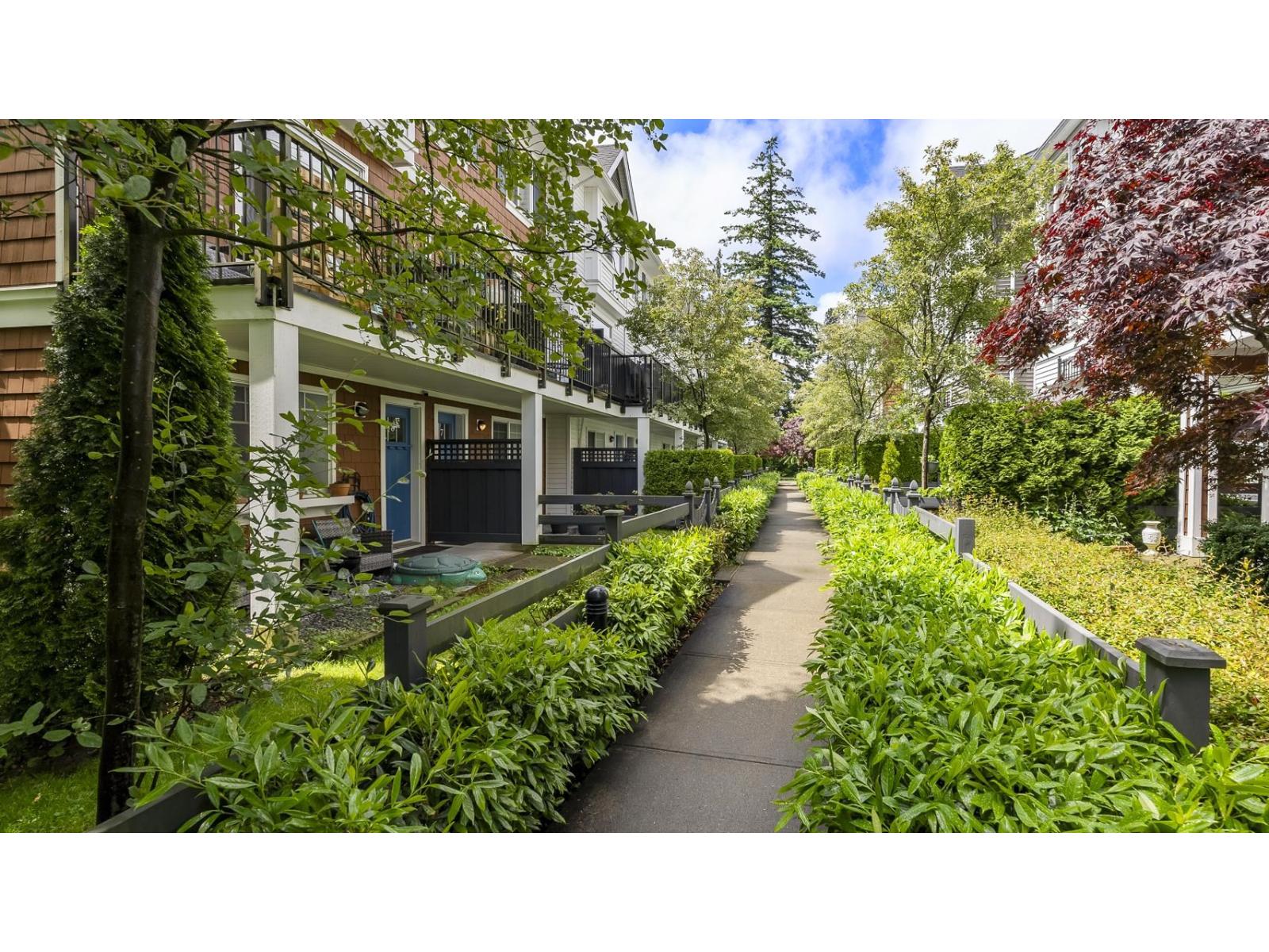 6 14905 60 Avenue, Surrey, British Columbia  V3S 1R8 - Photo 18 - R3070453