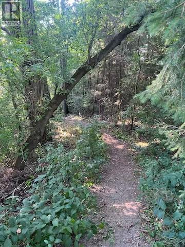 28 Bamsey Drive, Hamilton Township, Ontario  K0L 1E0 - Photo 20 - X12583802