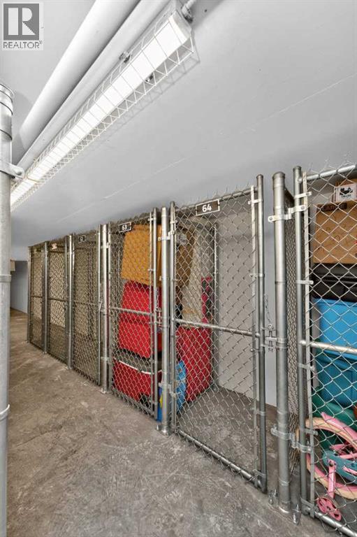 638, 110 18a Street Nw, Calgary, Alberta  T2N 5G5 - Photo 40 - A2272983