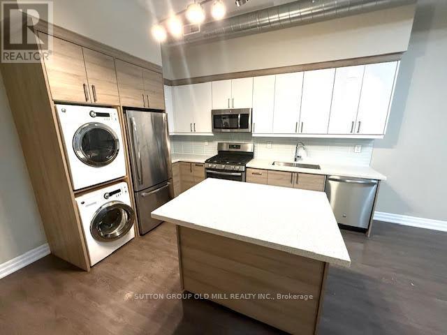 1a - 259 Gerrard Street E, Toronto, Ontario  M5A 2G1 - Photo 3 - C12583826