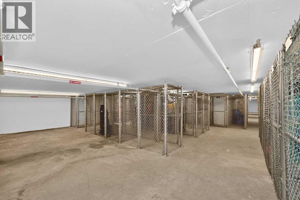 538, 110 18 A Street Nw, Calgary, Alberta  T2N 5G5 - Photo 43 - A2270511