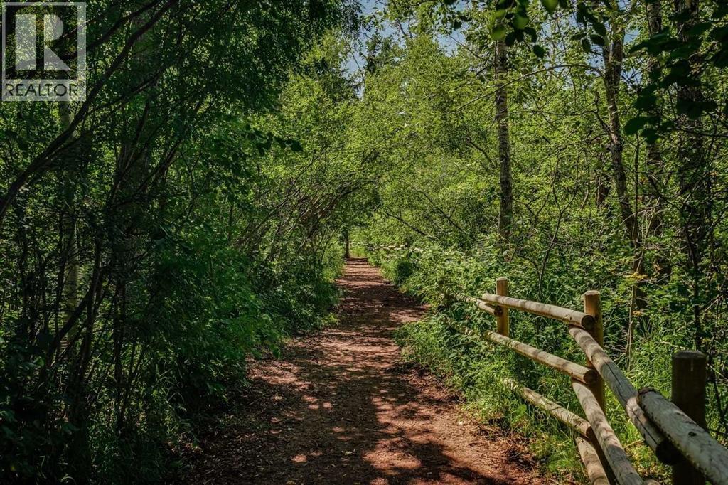 1225 Riverdale Avenue Sw, Calgary, Alberta  T2S 0Z1 - Photo 44 - A2272388