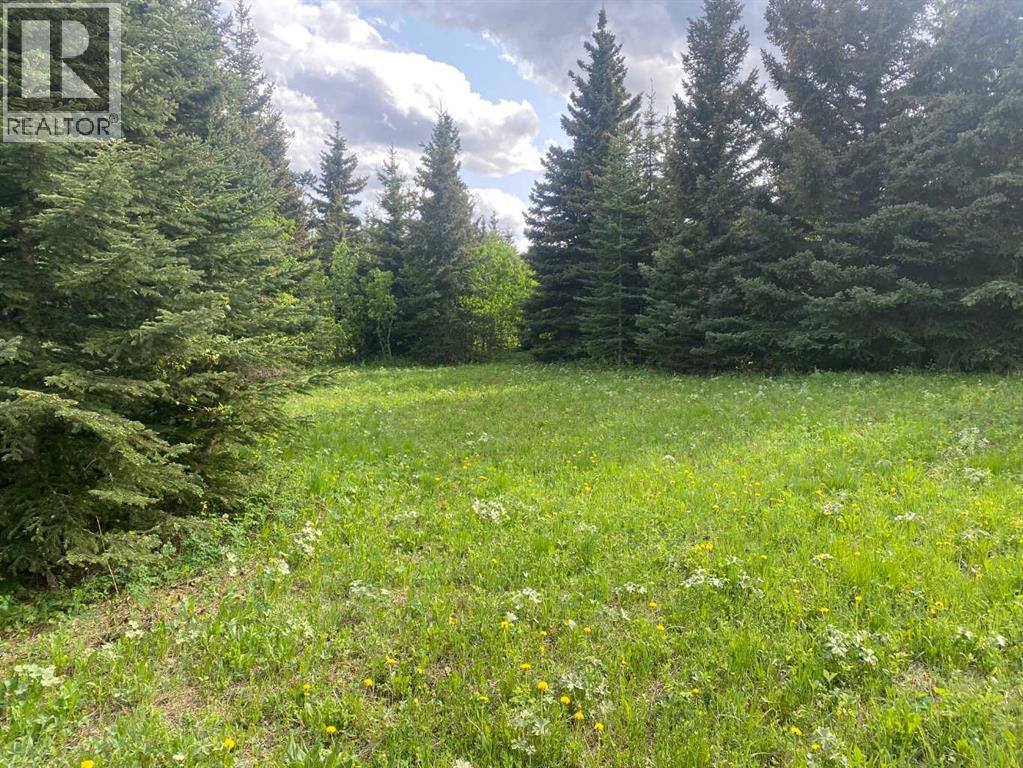 Lot 5 Heritage Ranch, Rural Cardston County, Alberta  T0K 0K0 - Photo 5 - A2273021