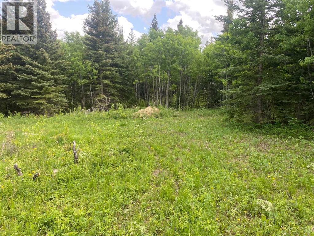 Lot 5 Heritage Ranch, Rural Cardston County, Alberta  T0K 0K0 - Photo 8 - A2273021