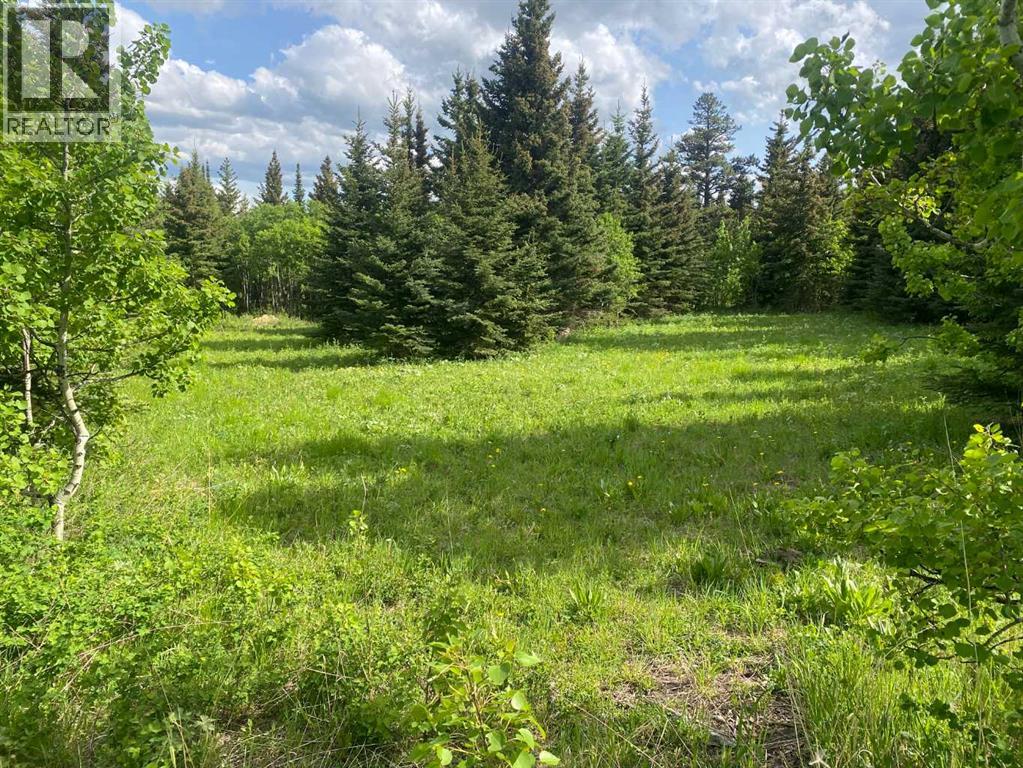 Lot 5 Heritage Ranch, Rural Cardston County, Alberta  T0K 0K0 - Photo 6 - A2273021