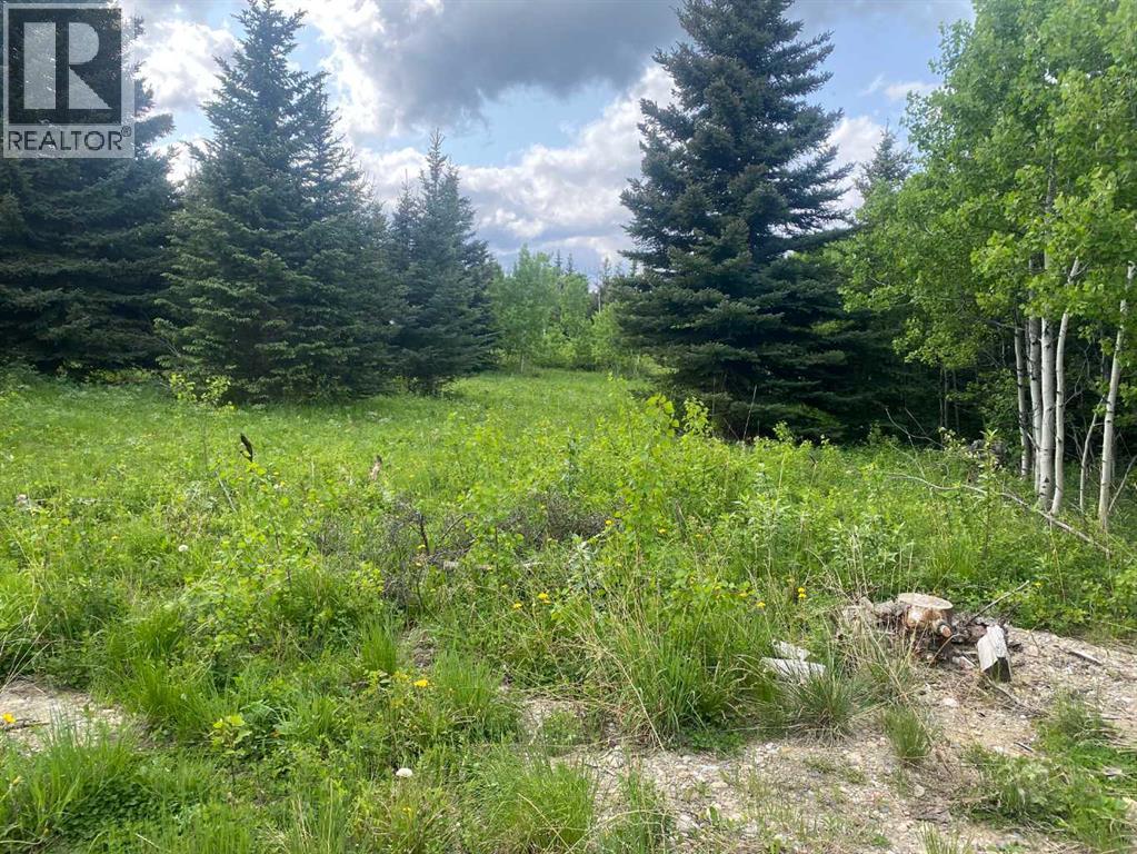 Lot 5 Heritage Ranch, Rural Cardston County, Alberta  T0K 0K0 - Photo 7 - A2273021