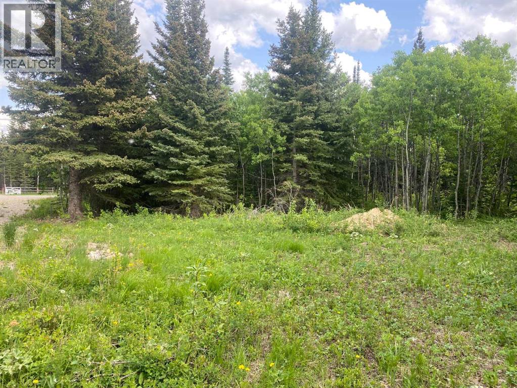 Lot 5 Heritage Ranch, Rural Cardston County, Alberta  T0K 0K0 - Photo 9 - A2273021